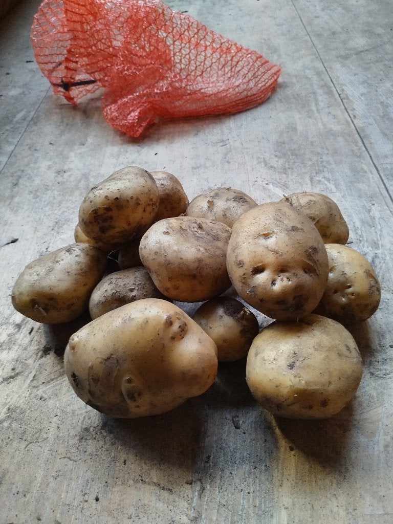 Nieuwe aardappelen Frieslanders, Diversen, Levensmiddelen, Ophalen