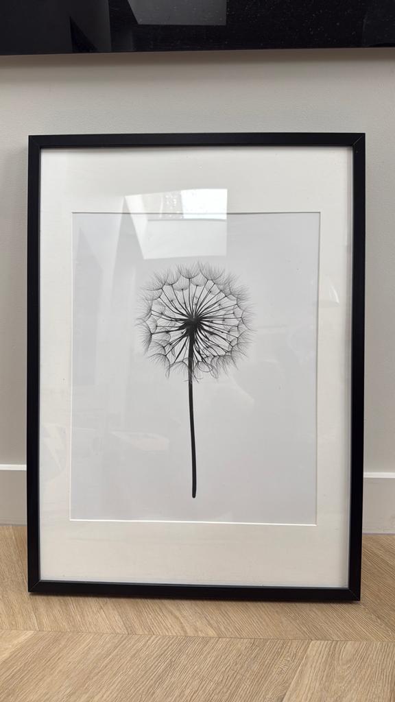 Ingelijste print paardenbloem - Zo goed als nieuw, Ophalen, Zo goed als nieuw, 75 cm of meer, 50 tot 75 cm