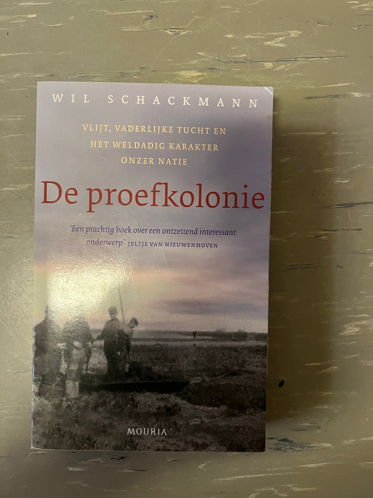De Proefkolonie - Wil Schackmann (Boek), Ophalen of Verzenden, 20e eeuw of later, Zo goed als nieuw