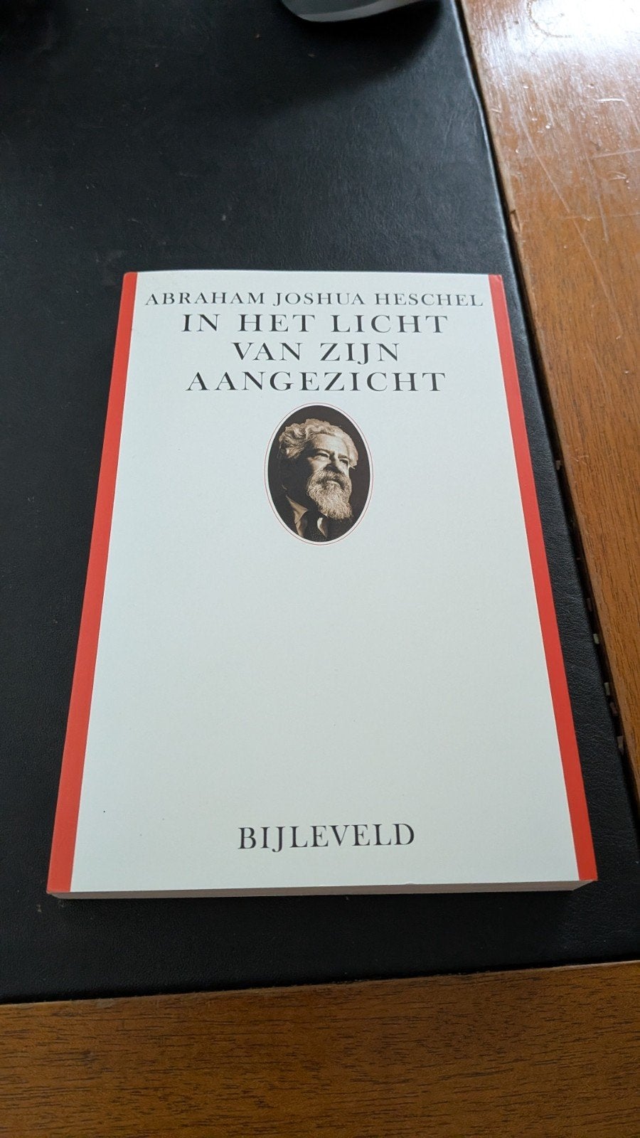 In het licht van zijn aangezicht - Abraham Joshua Heschel, Boeken, Ophalen of Verzenden, Gelezen, Abraham Joshua Heschel, Jodendom