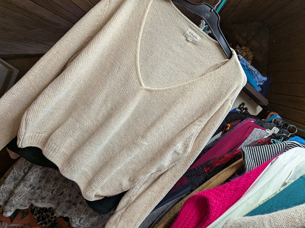 Trui maat m revelation, Kleding | Dames, Ophalen of Verzenden, Zo goed als nieuw, Maat 38/40 (M), Beige