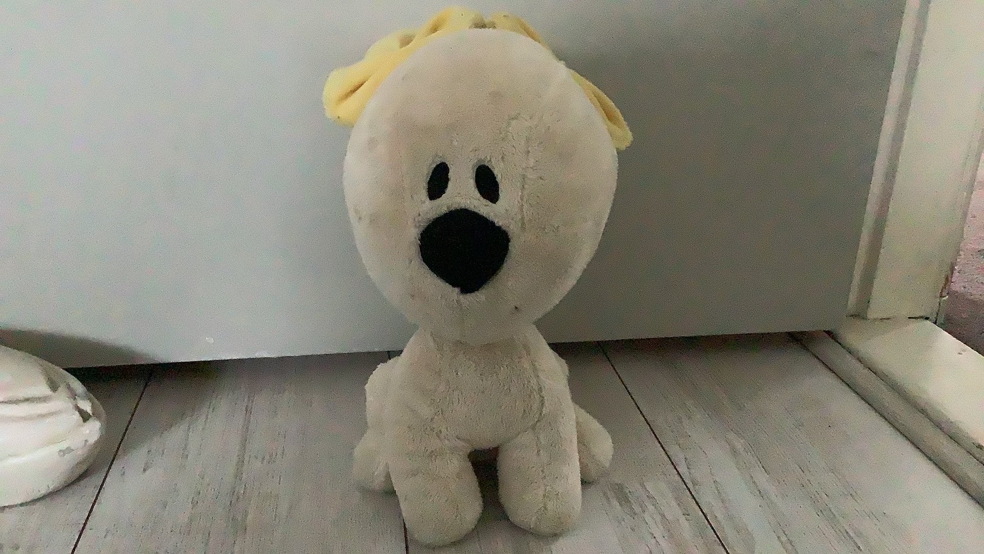 Knuffel pip van woezel en pip, Kinderen en Baby's, Speelgoed | Knuffels en Pluche, Ophalen, Gebruikt, Hond