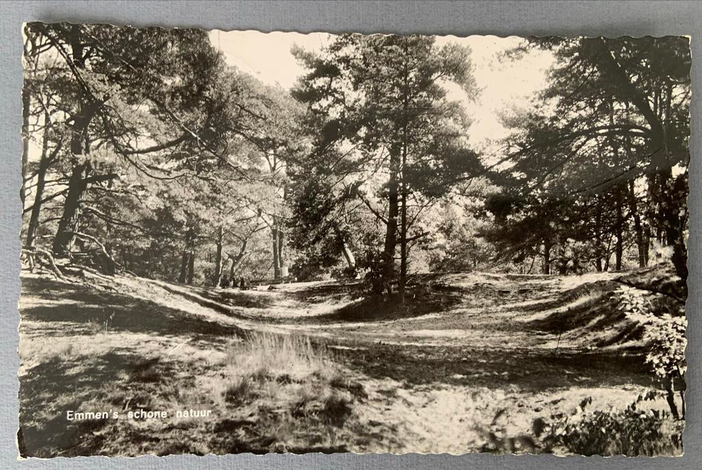 Emmen's schone natuur, Verzenden, 1960 tot 1980, Gelopen, Drenthe