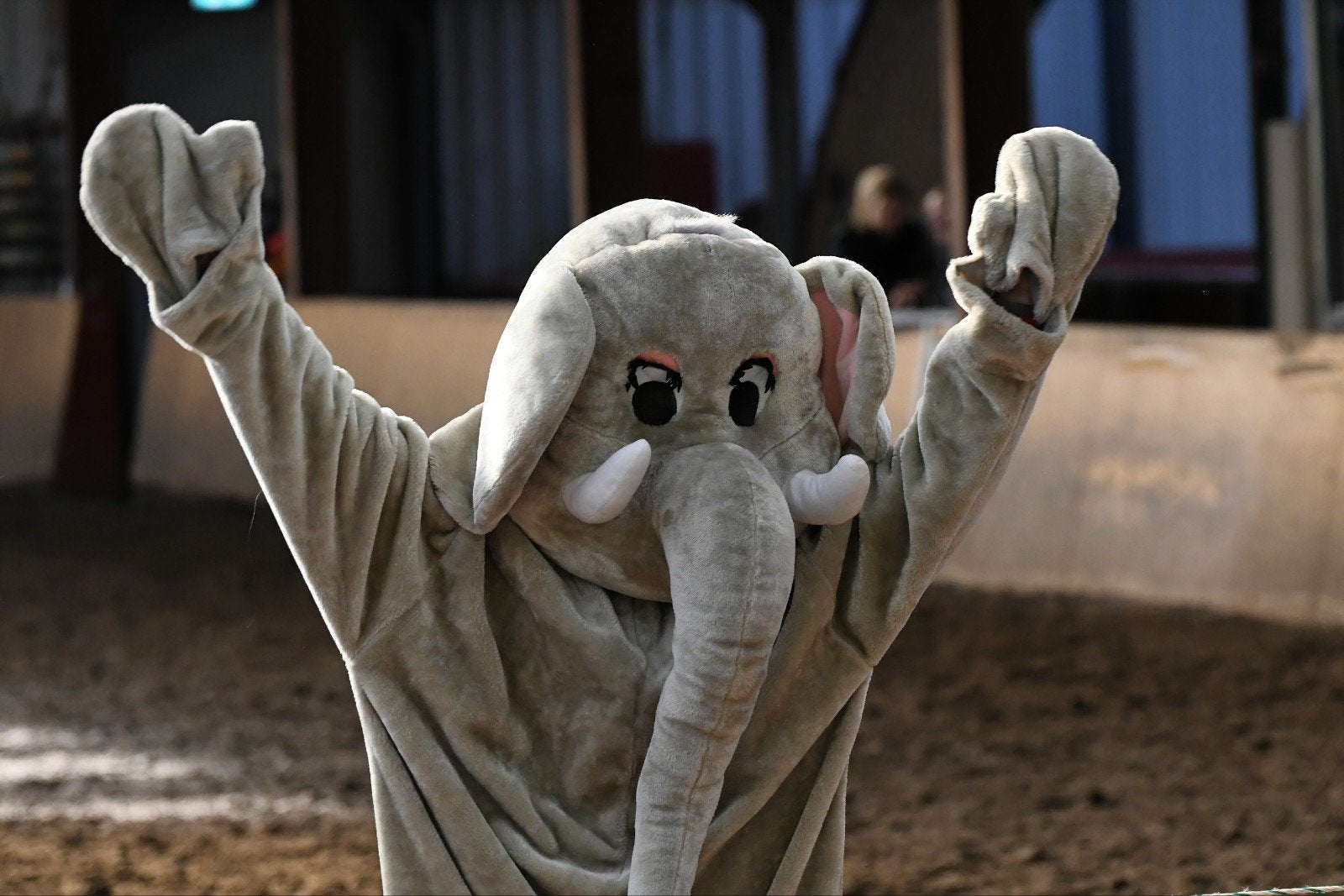 Olifant kostuum / mascotte, Ophalen, Zo goed als nieuw, Kleding