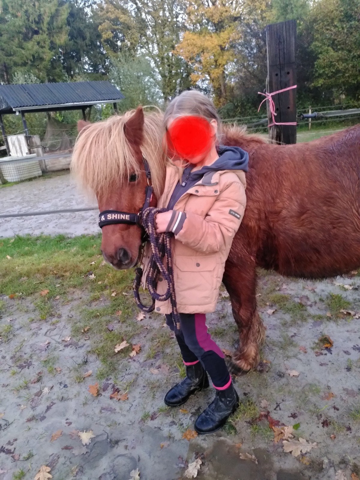 Verzorgpony zoekt bijrijder - Wie komt ons team versterken?