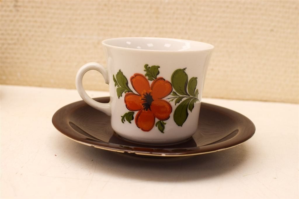 31 delige Bavaria Schuman porseleinen koffie servies 44637, Gebruikt, Ophalen of Verzenden, Bord(en), Overige stijlen