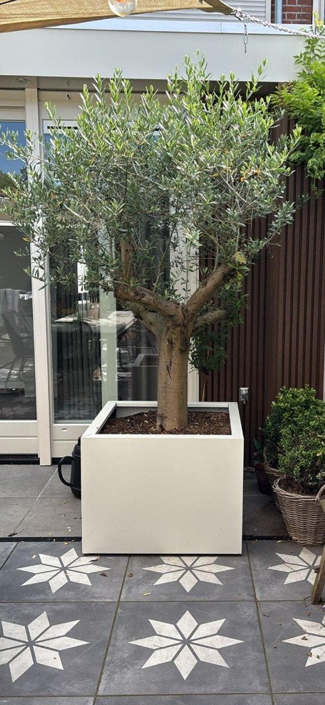 Plantenbak, Tuin en Terras, Bloembakken en Plantenbakken, Ophalen, Info@plantenbakkenvanstaal.nl, Plantenbakken van Staal, Nieuw