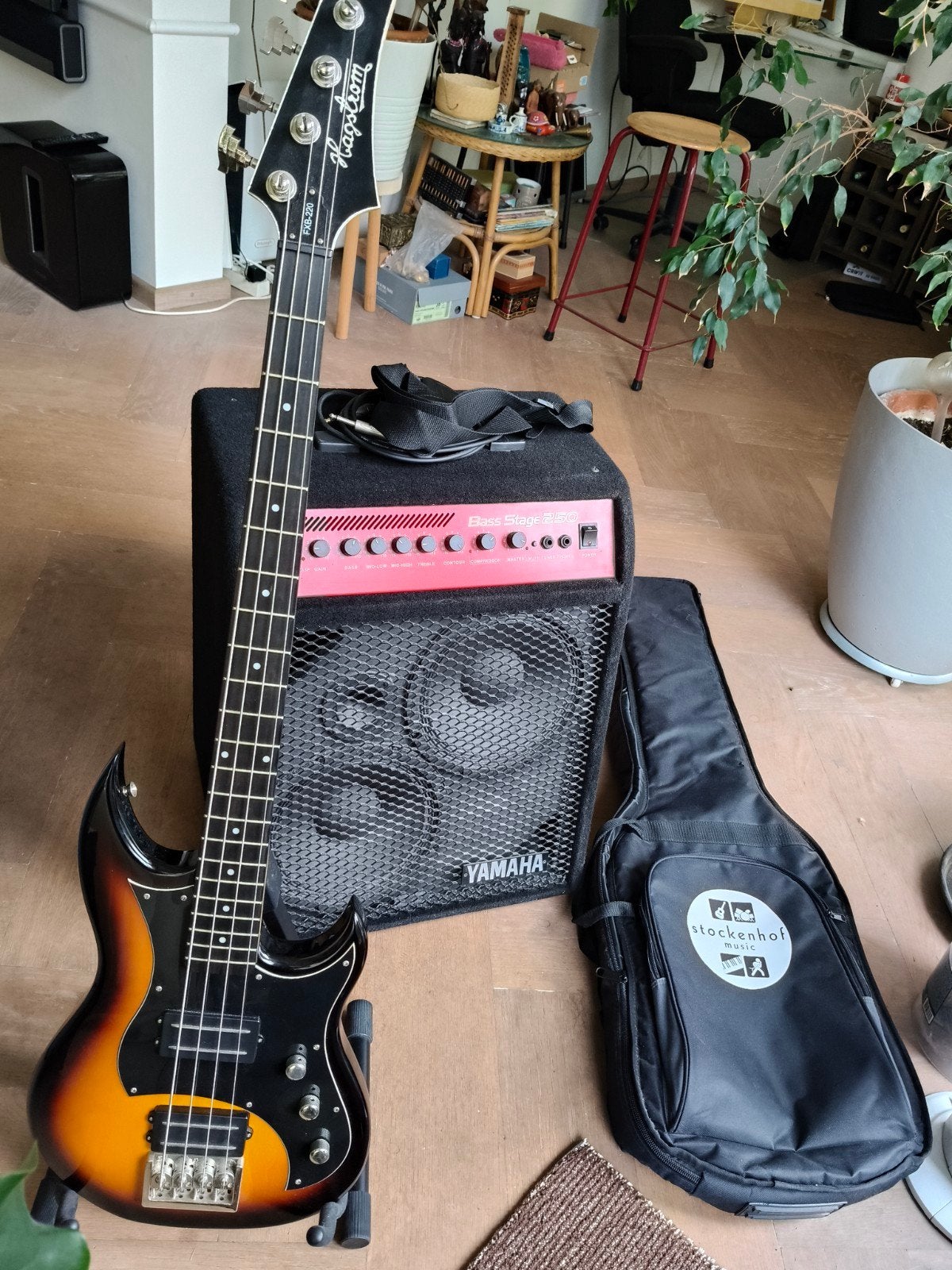Basgitaar met versterker, tas en standaard, Muziek en Instrumenten, Snaarinstrumenten | Gitaren | Bas, Gebruikt, Elektrisch, Ophalen