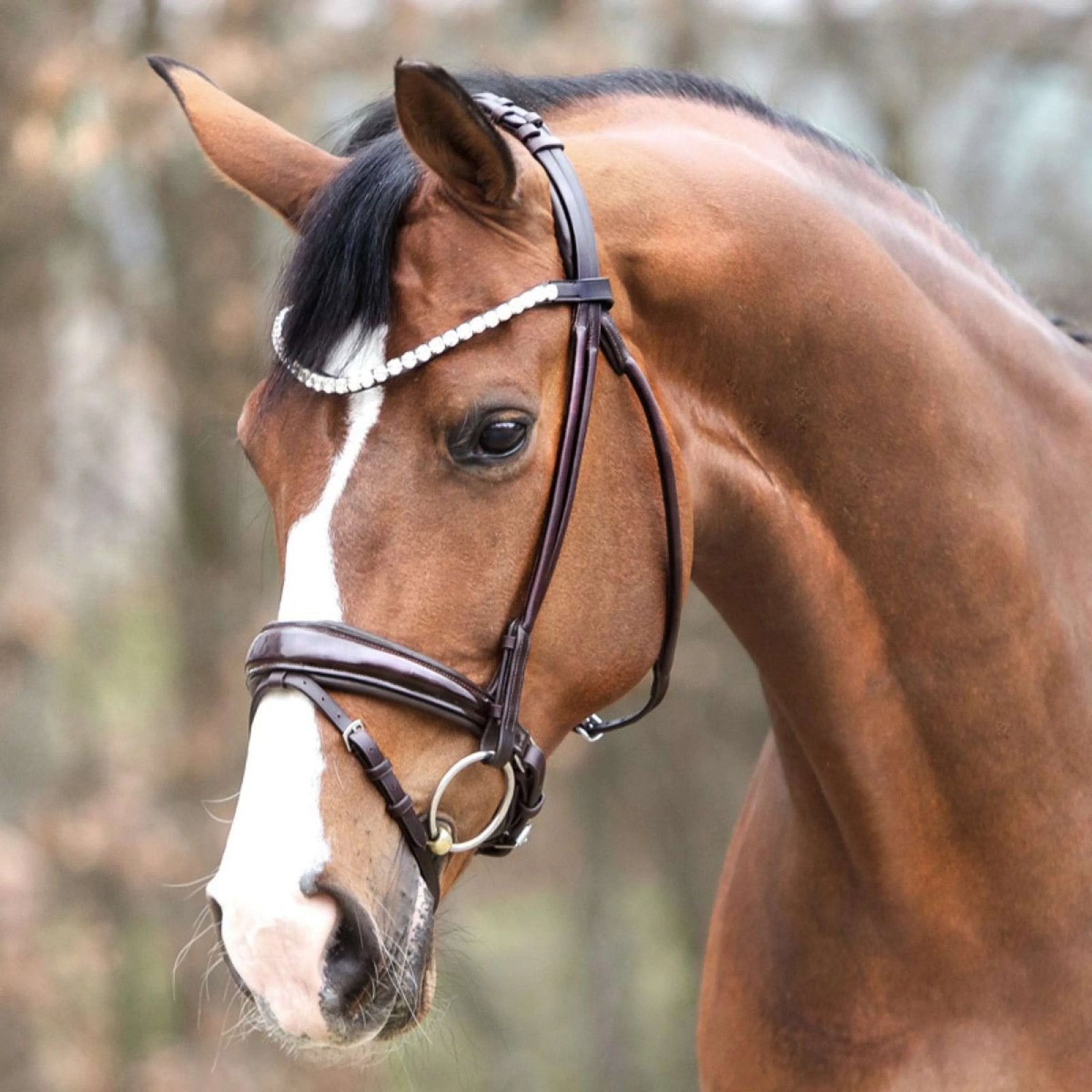 Dagstalling gezocht 20 september horseevent, Stalling