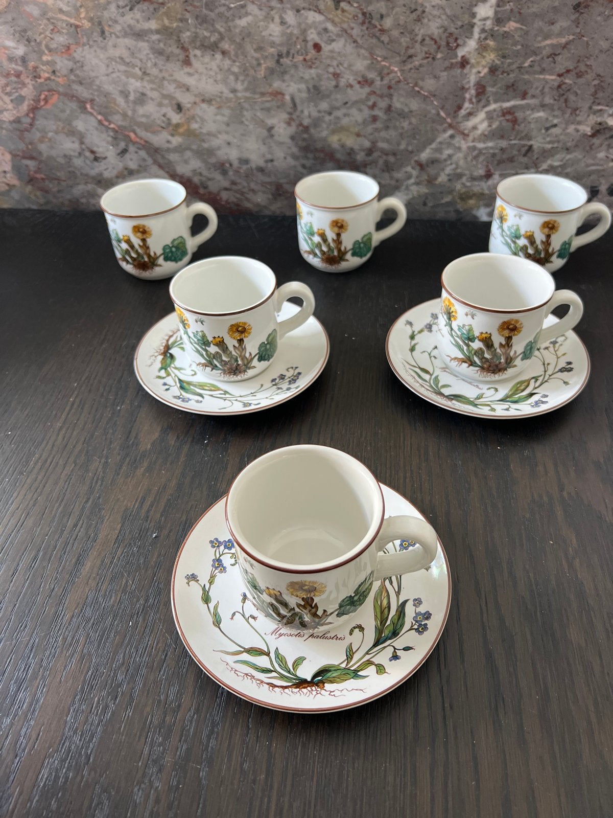 Villeroy & Boch Botanica Espresso Kopjes en Schotels, Klassiek, Villeroy & Boch, Ophalen of Verzenden, Zo goed als nieuw