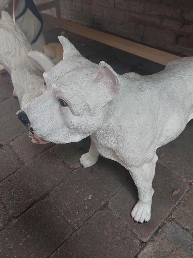 decoratief honden beeld pittbull/stafford, Ophalen of Verzenden, Zo goed als nieuw, Dier