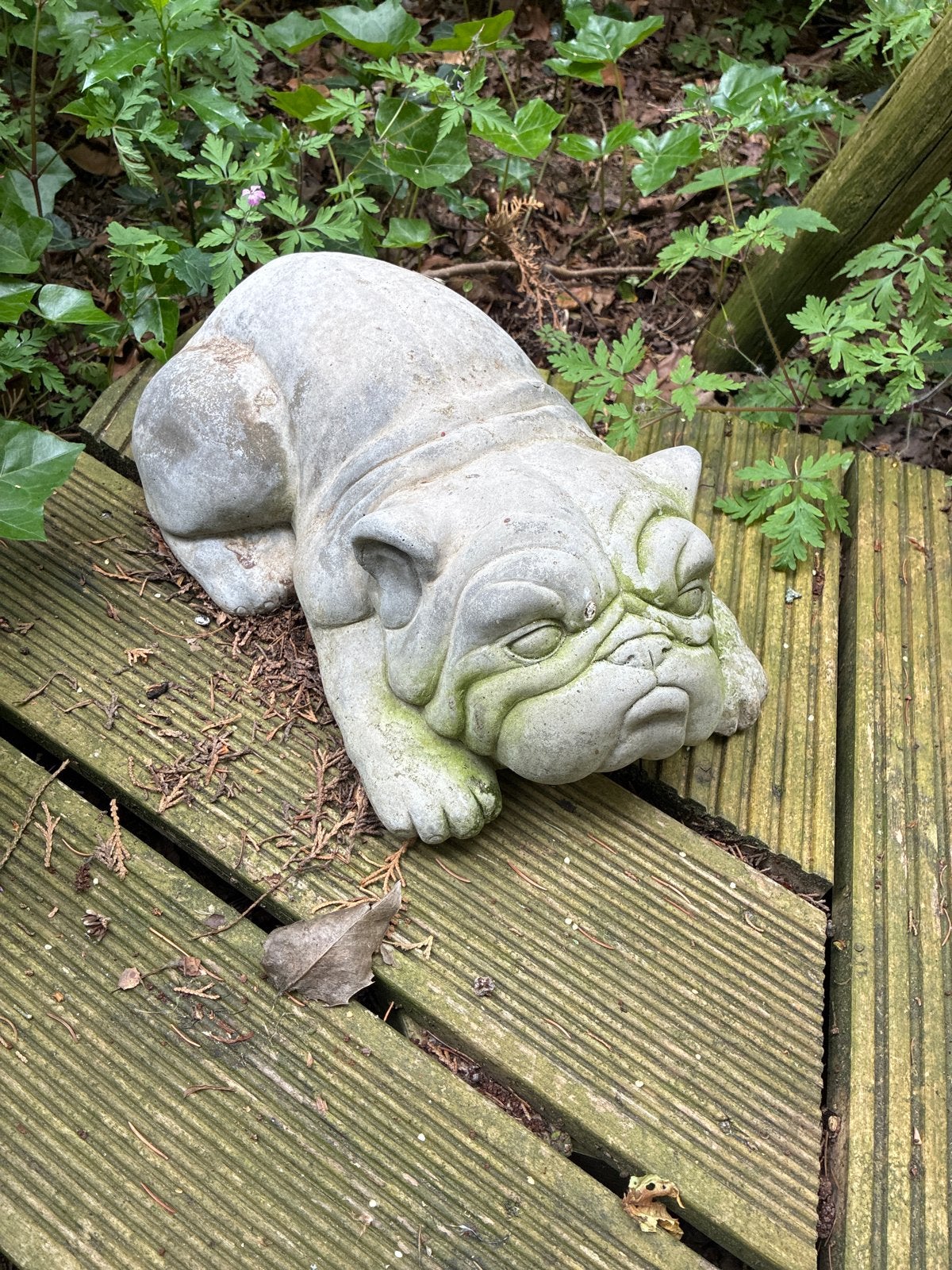 Betonnen Bulldog Tuinbeeld - Uniek en Charmant, Ophalen of Verzenden, Gebruikt, Beton, Dierenbeeld