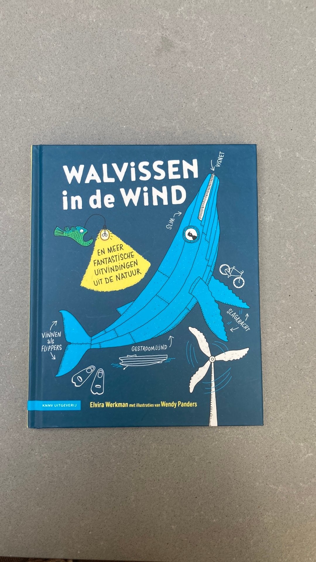 Elvira Werkman - Walvissen in de wind, Fictie algemeen, Ophalen of Verzenden, Zo goed als nieuw, Elvira Werkman