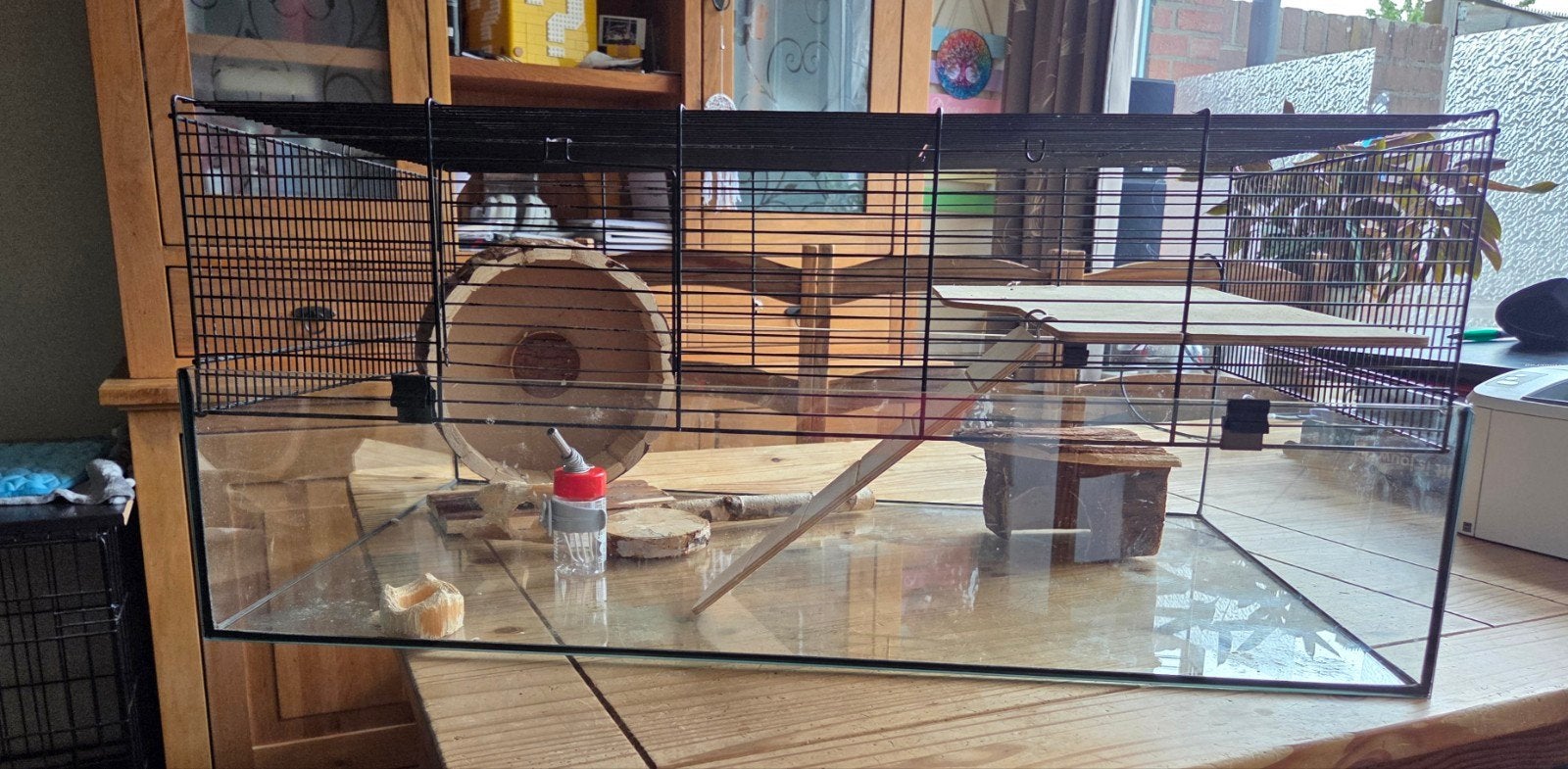 Terrarium voor hamster/gerbil, 75 tot 110 cm, Ophalen, Minder dan 60 cm, Hok