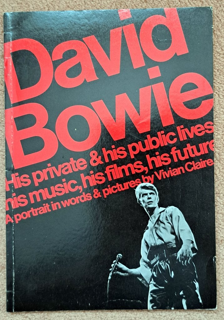 His private & his public lives - David Bowie, Overige, Ophalen of Verzenden, Zo goed als nieuw, Vivian Claire