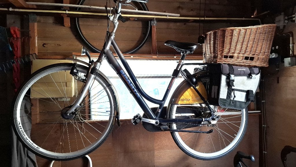 Fiets inclusief afneembare  hondenmand, Ophalen, Gebruikt, Sparta, Versnellingen