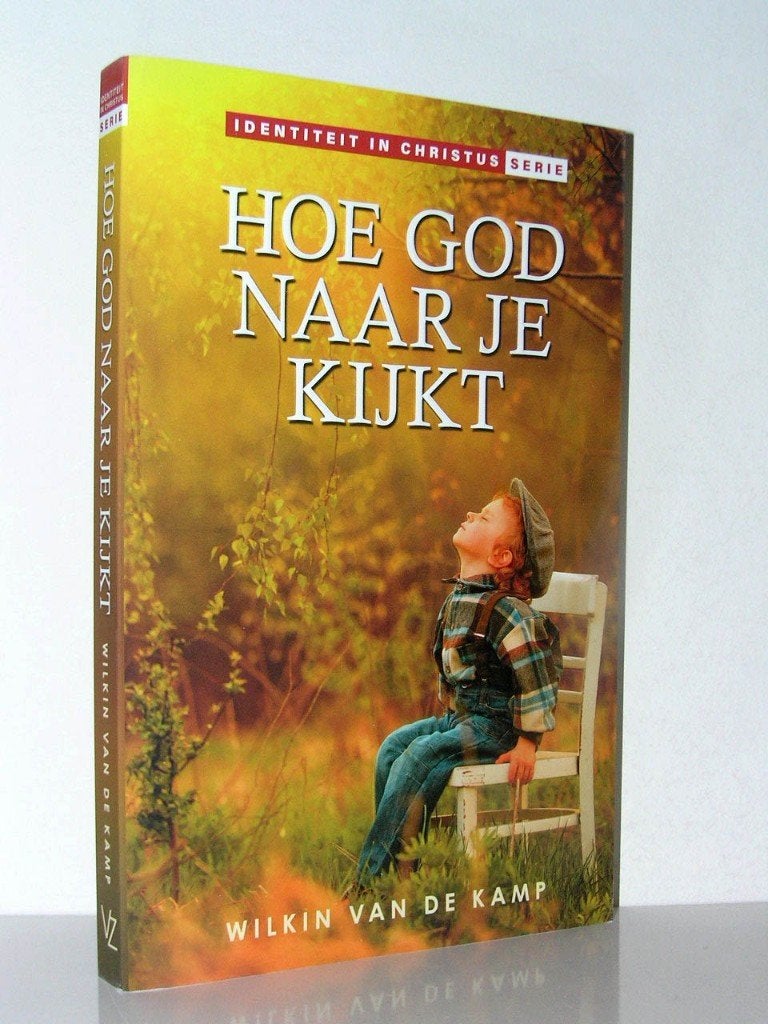 Wilkin van de Kamp - Hoe God naar je kijkt (herdruk), Ophalen of Verzenden, Zo goed als nieuw, Christendom | Katholiek