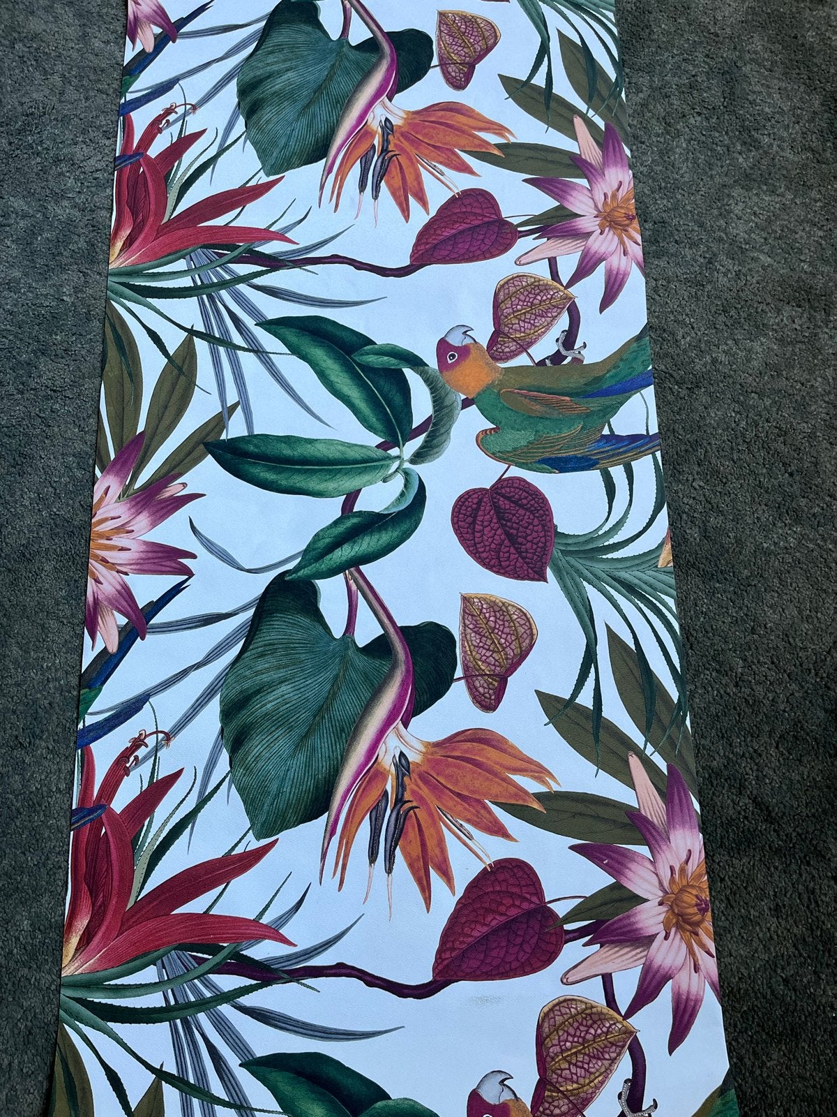 Exotisch Fotobehang met Tropische Vogels en Bladeren, Ophalen, Natuurlijk, Overige merken, Fotobehang