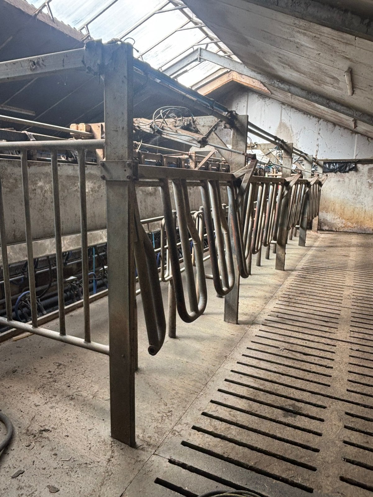 De laval melkstal, krachtvoerboxen en transponders, Dieren en Toebehoren, Stalling