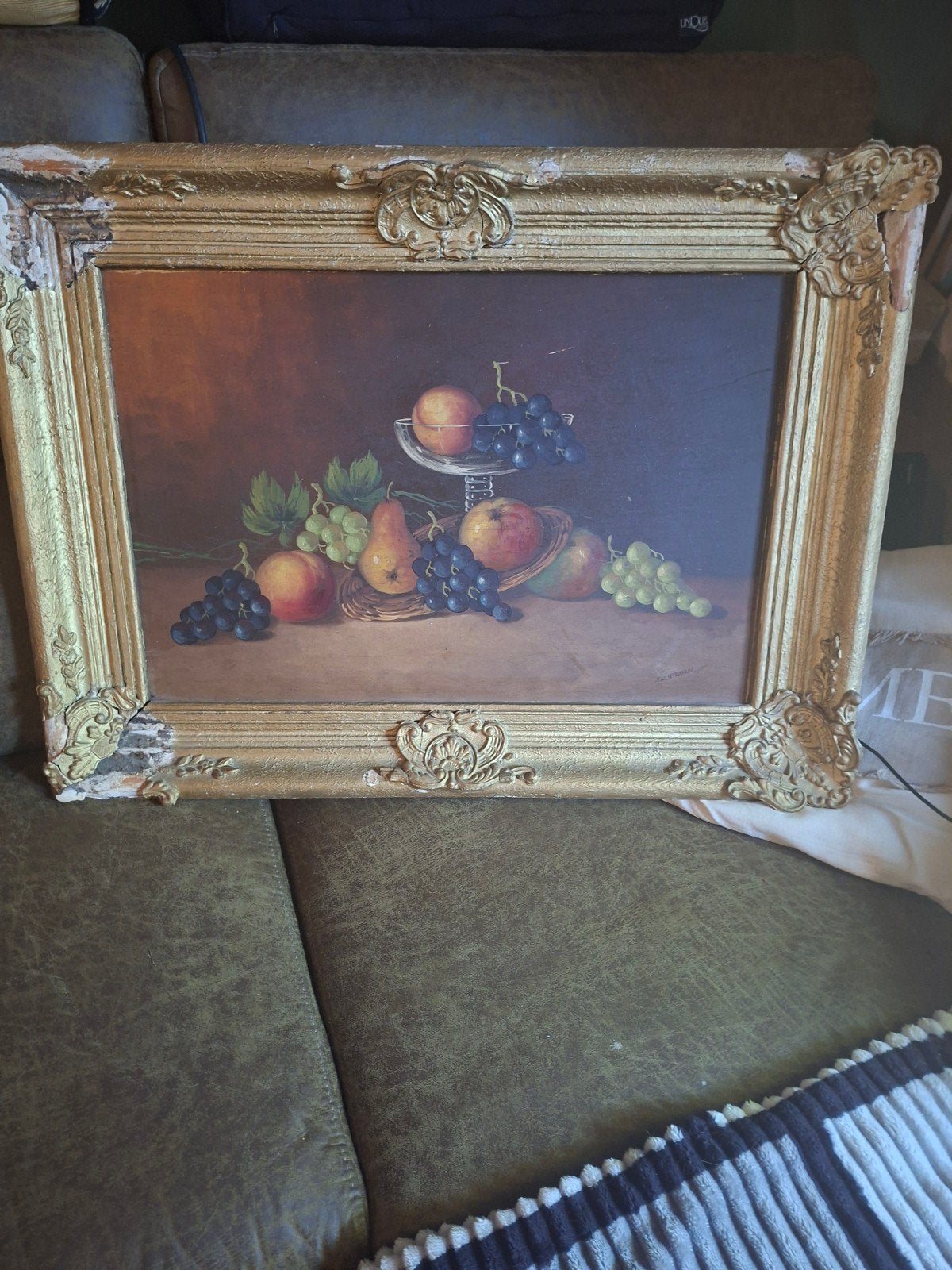 Klassiek stilleven met fruit in sierlijke lijst, Ophalen of Verzenden