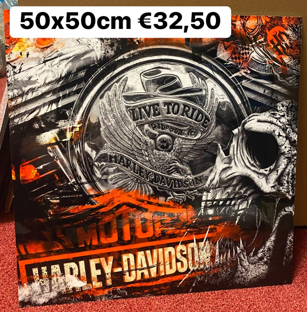 schilderij (harley) 50x50cm/Nieuw!, Ophalen, Woondecoratie eindhoven, Nieuw, Schilderij