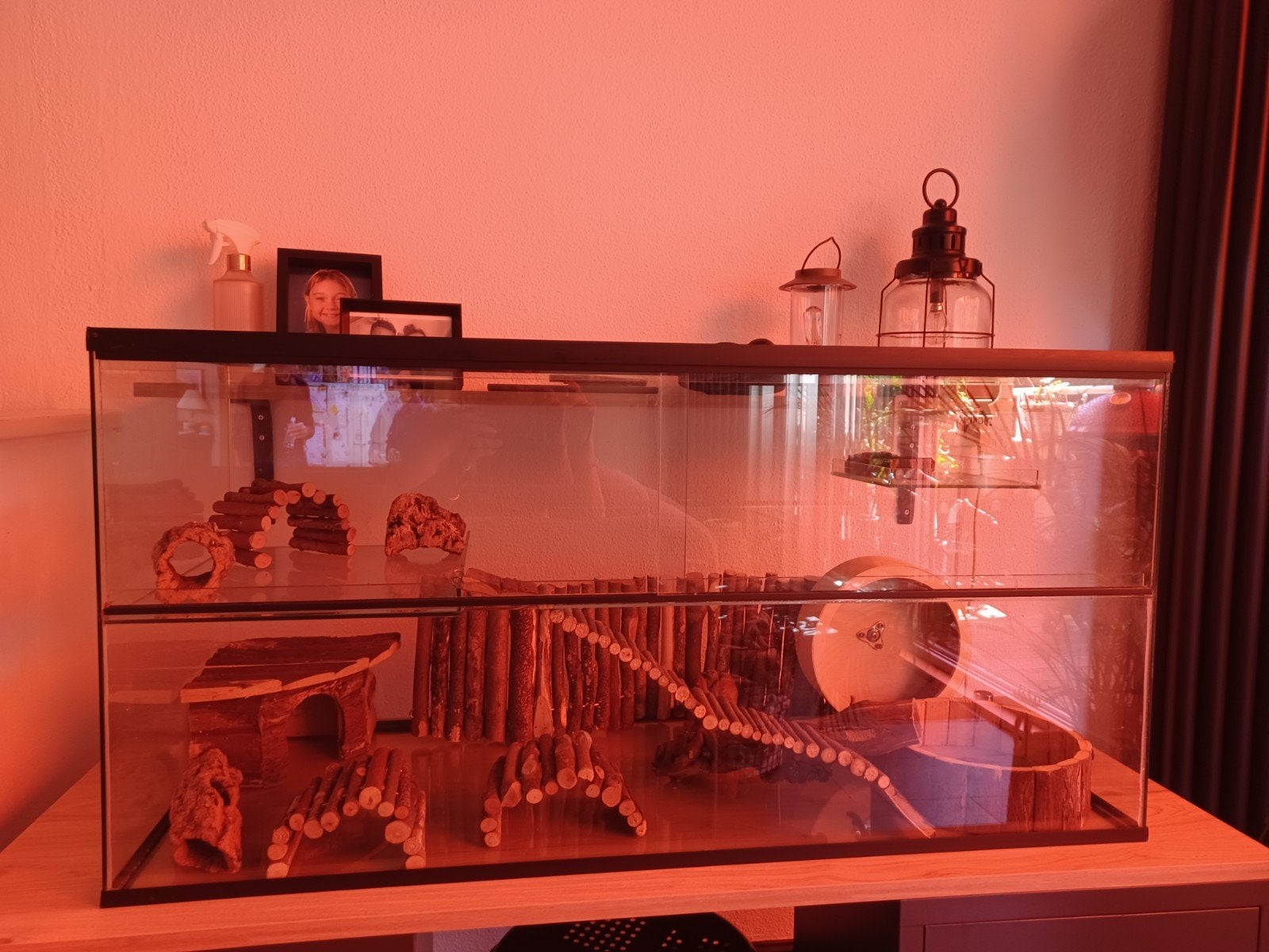 knaagdier verblijf, Kooi, Hamster, 75 tot 110 cm, Ophalen