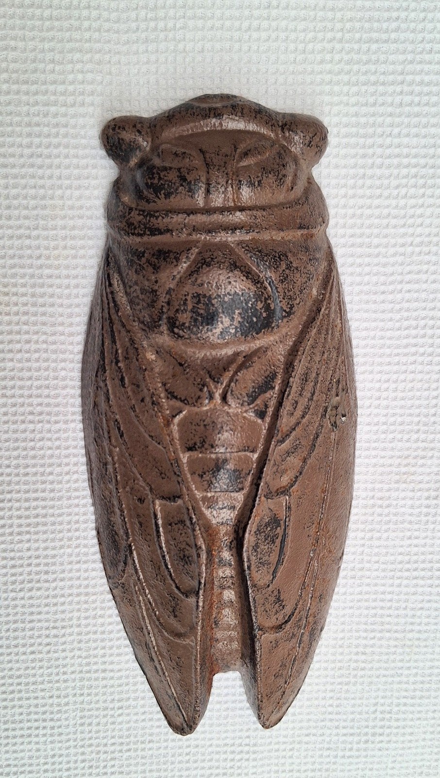 Cicade gietijzer, Ophalen of Verzenden, Nieuw, Maat 46/48 (XL) of groter, Overige typen