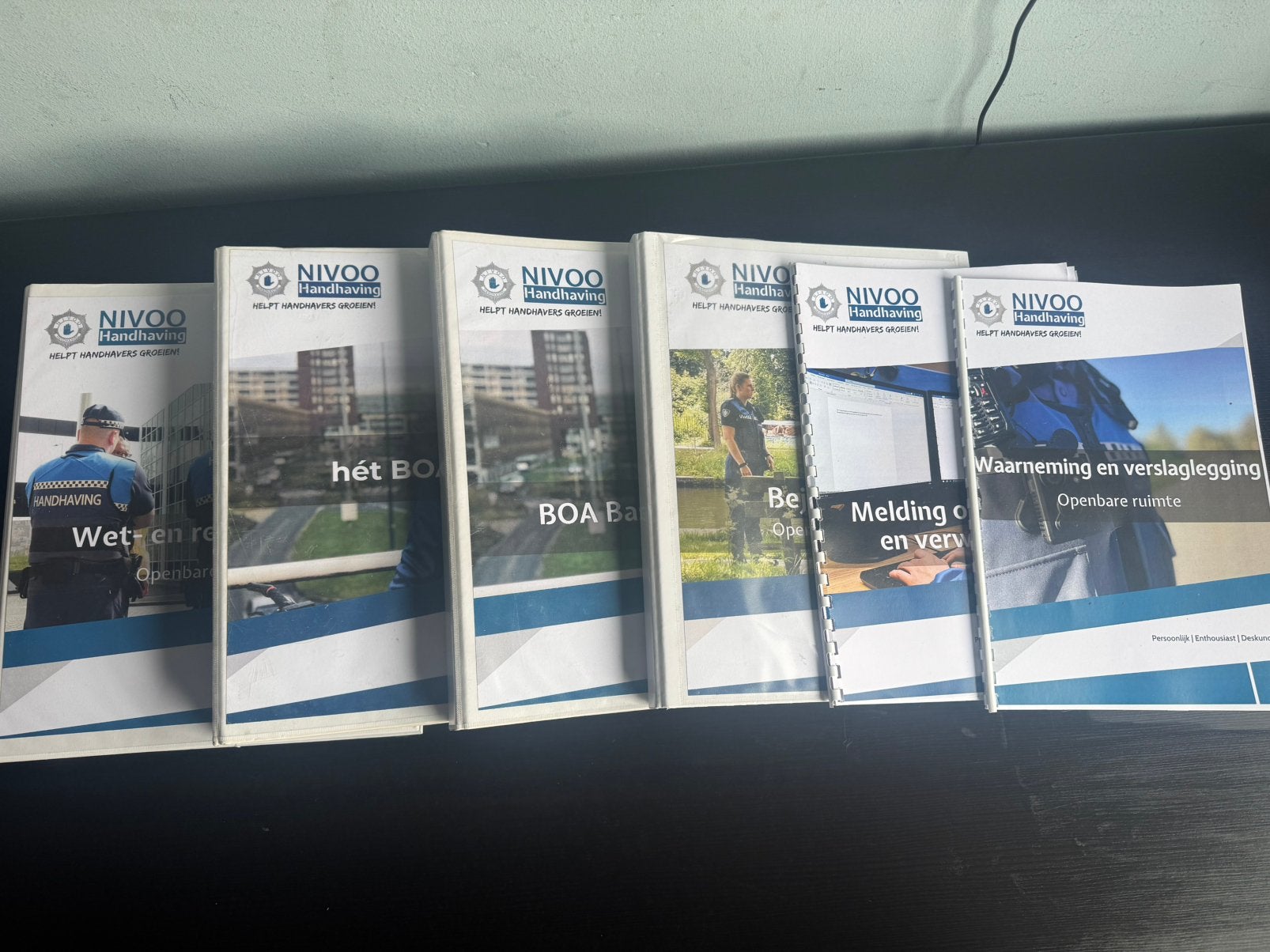 Nivoo htv boeken, Boeken, Schoolboeken, Ophalen of Verzenden, Gelezen, Overige niveaus, Overige vakken