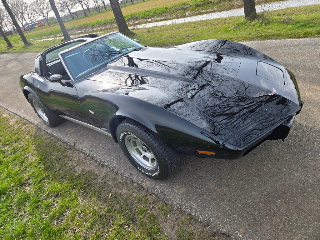 Chevrolet USA Corvette 5.7 Targa, foto 5