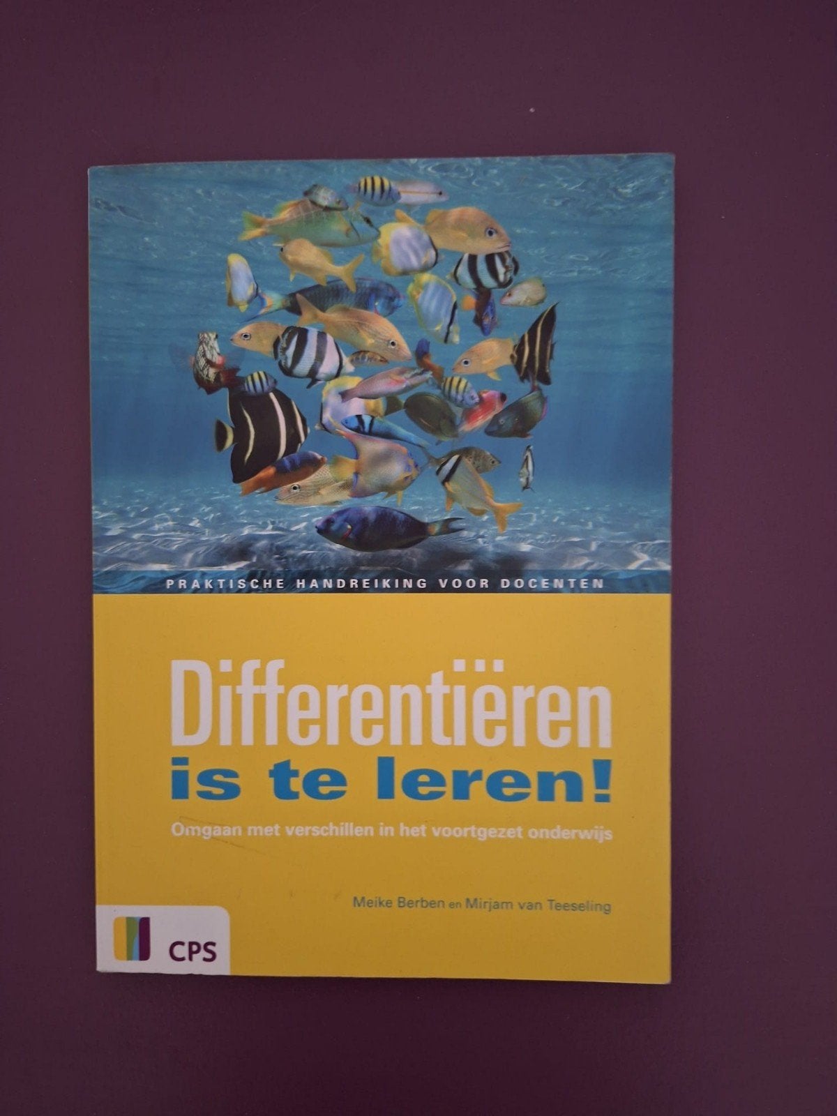 Differentiëren is te leren!, Gelezen, Ophalen of Verzenden, Meike Berben; Mirjam van Teeseling, Nederlands