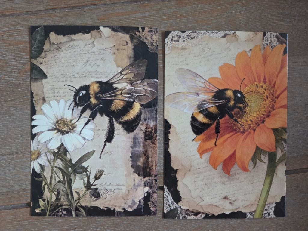 INSECTEN 2, Ophalen, Paard