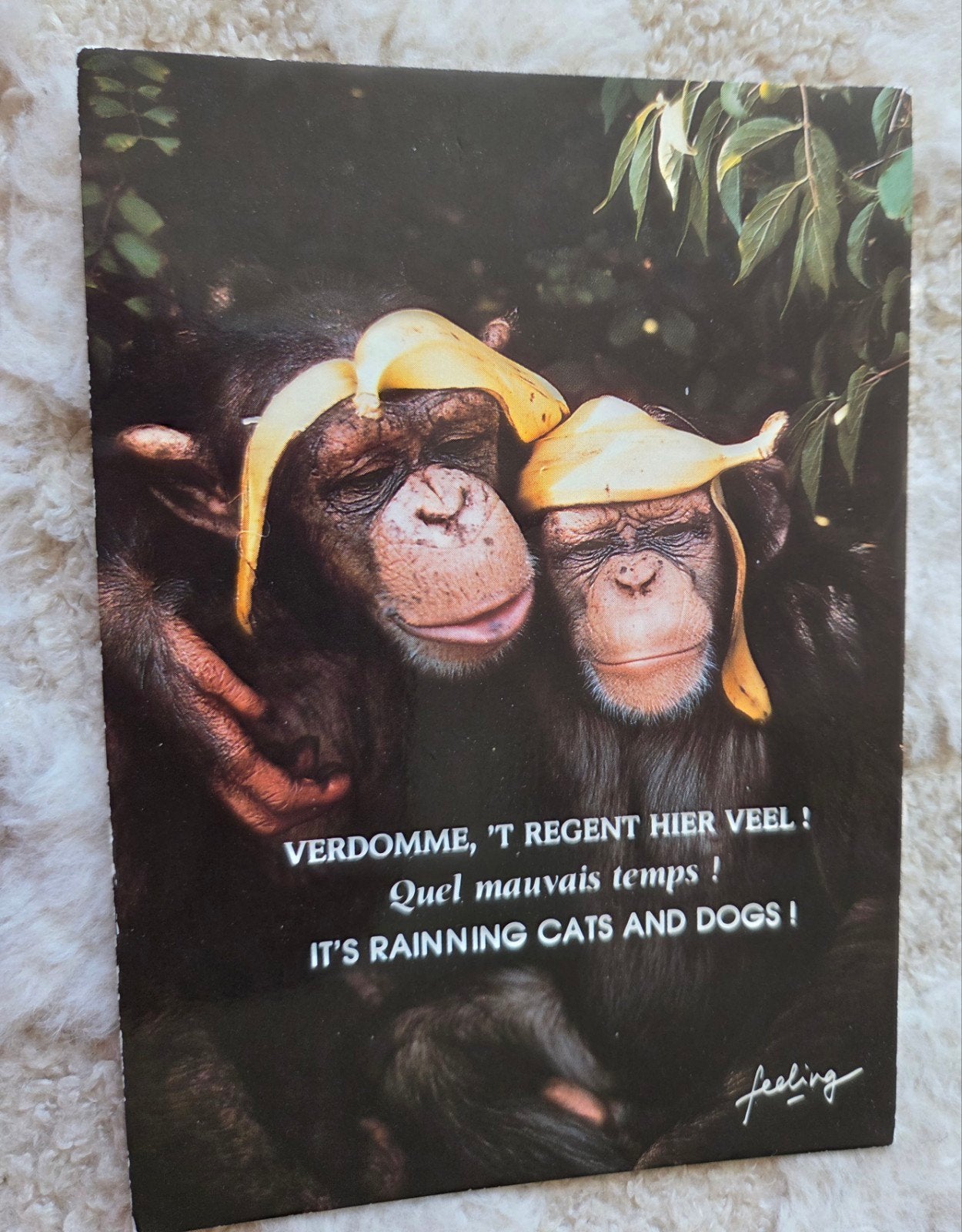 Apen met Banaanhoeden - Humoristisch, Verzenden, 1980 tot heden, Gelopen, Overige thema's