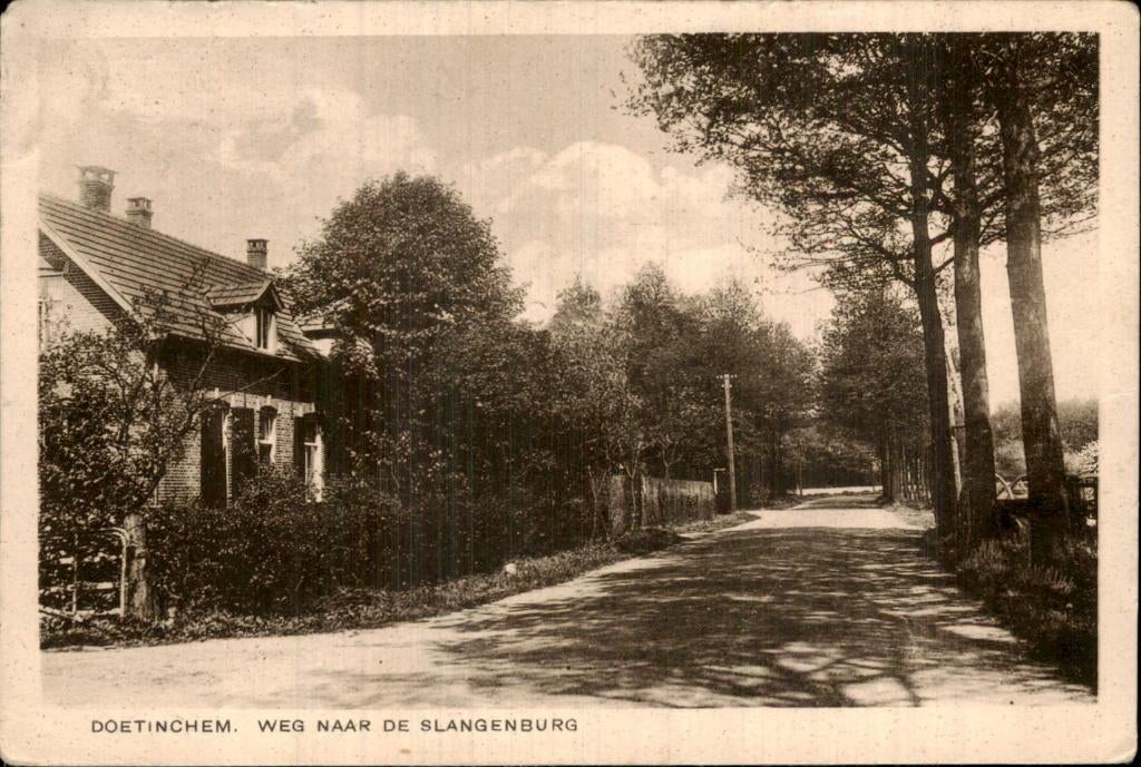 Doetinchem - Weg - Naar de Slangenburg, Ophalen of Verzenden, Voor 1920, Gelopen, Gelderland