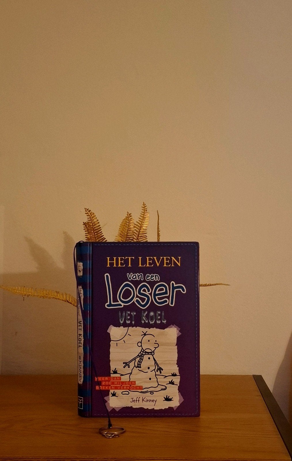 Jeff Kinney - Vet koel, Ophalen of Verzenden, Zo goed als nieuw, Jeff Kinney