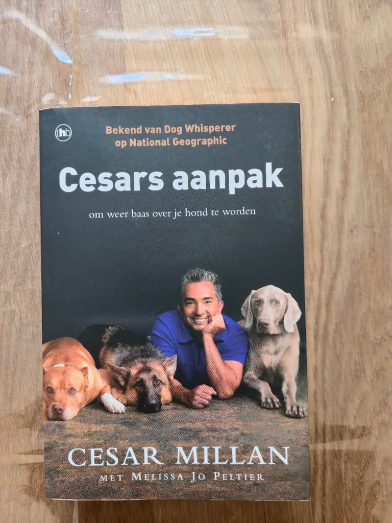 Cesars aanpak - Leer je hond beter begrijpen, Boeken, Gelezen, Honden, Cesar Millan, Ophalen of Verzenden