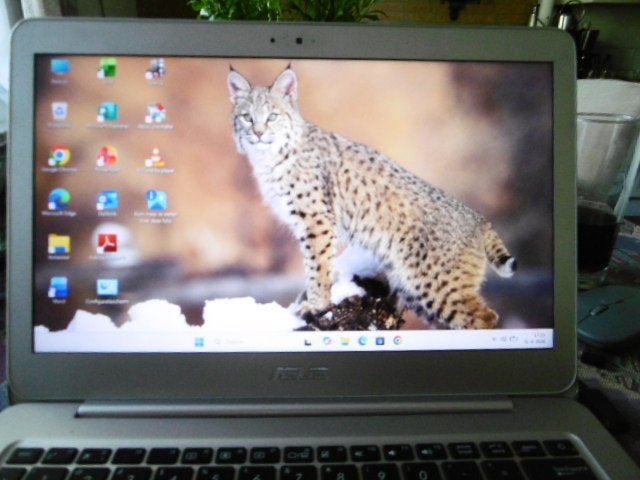 Asus UX305C met Windows 11 en Office 2019, Gebruikt, Asus, 13 inch, Minder dan 2 Ghz