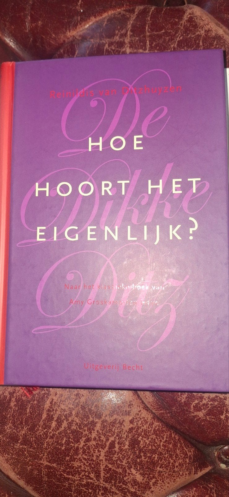 De Dikke Ditz - Hoe hoort het eigenlijk? Etiquetteboek, Ophalen of Verzenden, Zo goed als nieuw, Reinildis van Ditzhuyzen, Nederland