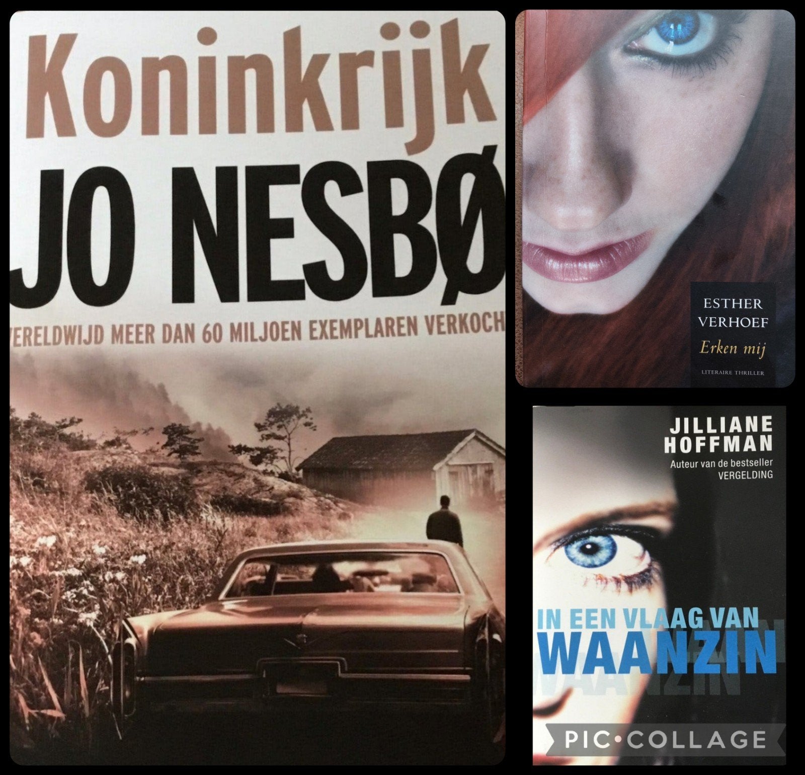 Thriller boeken: Jo Nesbø, Esther Verhoef, Jilliane Hoffman, Ophalen of Verzenden, Gelezen, Jo Nesbø, Esther Verhoef, Jilliane Hoffman