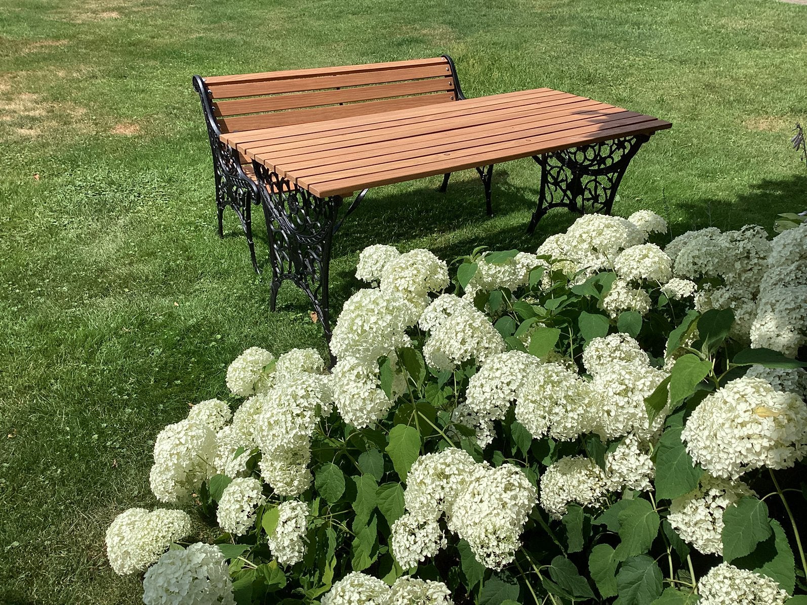 Schitterend gietijzeren tuinset., Tuin en Terras, Tuinsets en Loungesets, Ophalen, Zo goed als nieuw, Hout, Bank