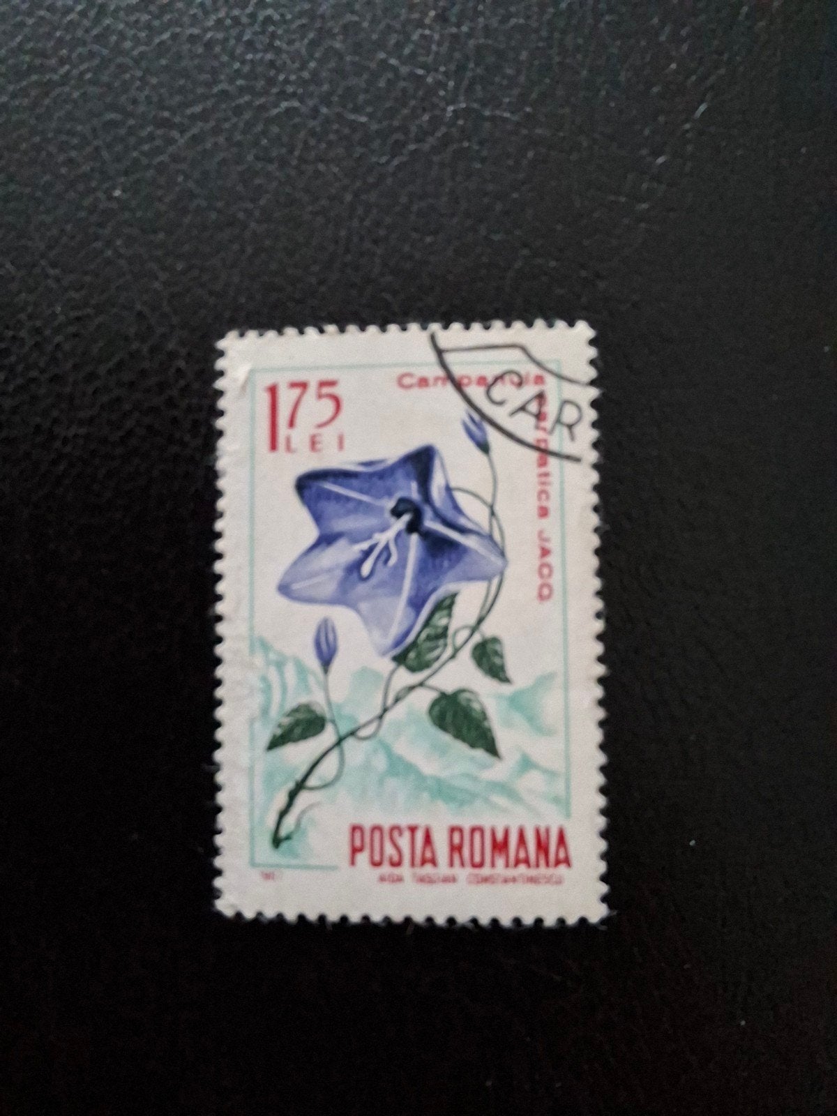 Bloemen.  Roemenië, Ophalen of Verzenden, Dier of Natuur