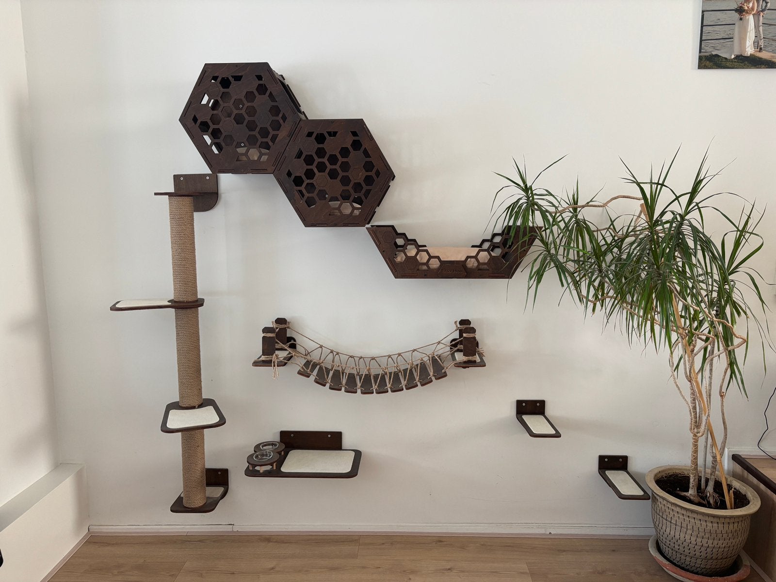 Houten kattenklimwand – complete set, echt hout, Ophalen, Zo goed als nieuw, Krabpaal