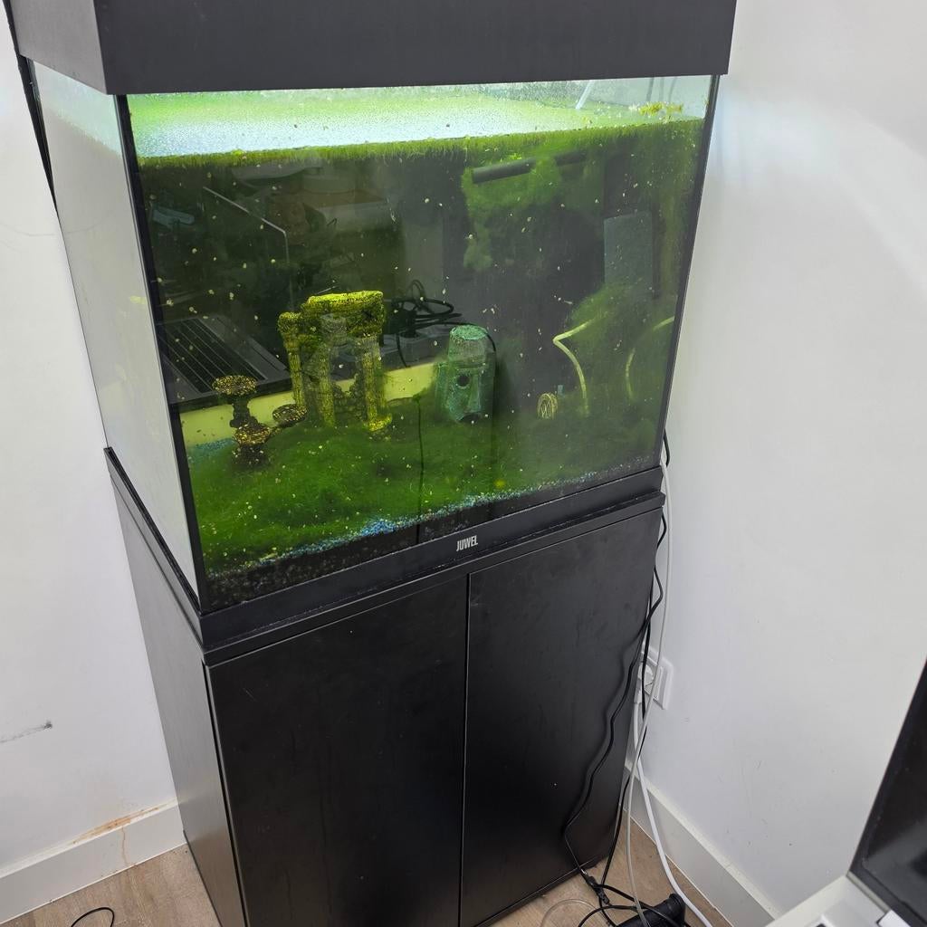 Aquarium en aquariumkast met veel garnalen & zeeslakken 120l, Dieren en Toebehoren, Vissen | Aquaria en Toebehoren, Ophalen, Gebruikt