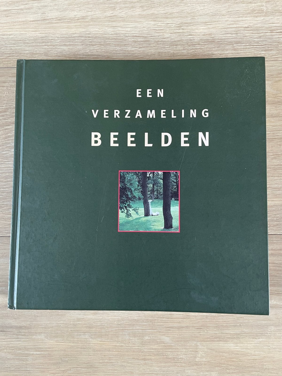 Een Verzameling Beelden - Kunstboek over sculpturen, Boeken, Ophalen of Verzenden, Gelezen, Beeldhouwkunst