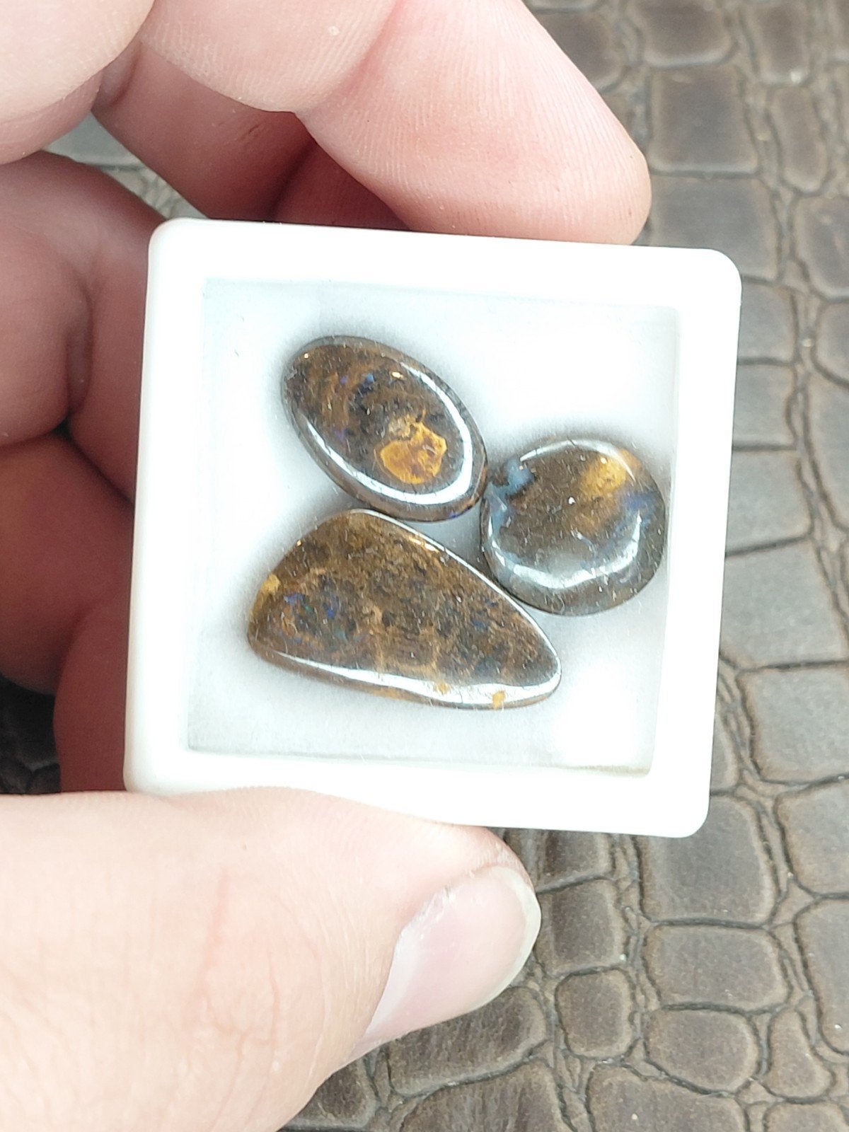 3 gepolijste opaal cabochons uit Australië, Ophalen of Verzenden, Nieuw