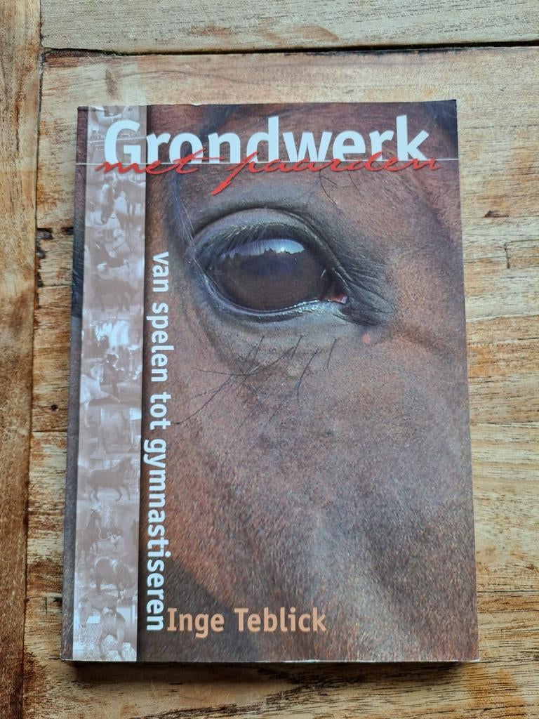 I. Teblick - Grondwerk met paarden, Ophalen of Verzenden, Zo goed als nieuw, I. Teblick, Balsport