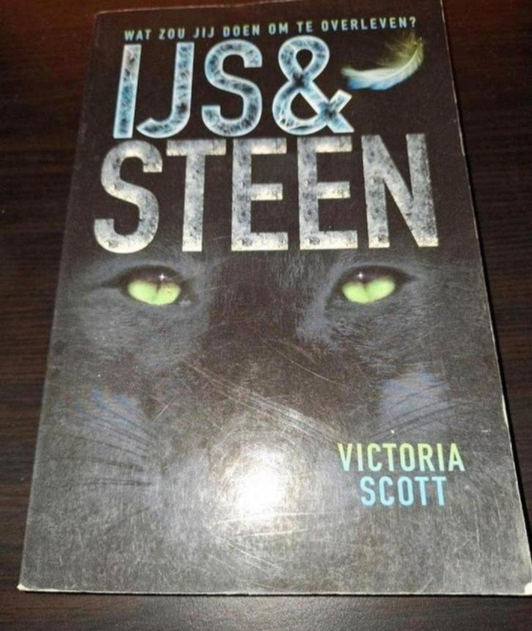 IJs & Steen - Victoria Scott (Boek), Ophalen of Verzenden, Zo goed als nieuw, Victoria Scott