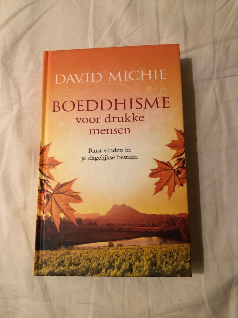 Boeddhisme voor drukke mensen - David Michie, Ophalen of Verzenden, Zo goed als nieuw, Spiritualiteit algemeen, Instructieboek
