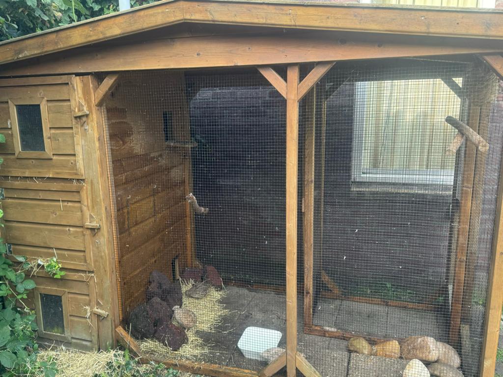 Prachtig groot houten hok voor buiten. Volière, Dieren en Toebehoren, Vogels | Hokken en Kooien, Ophalen, Zo goed als nieuw, Hout