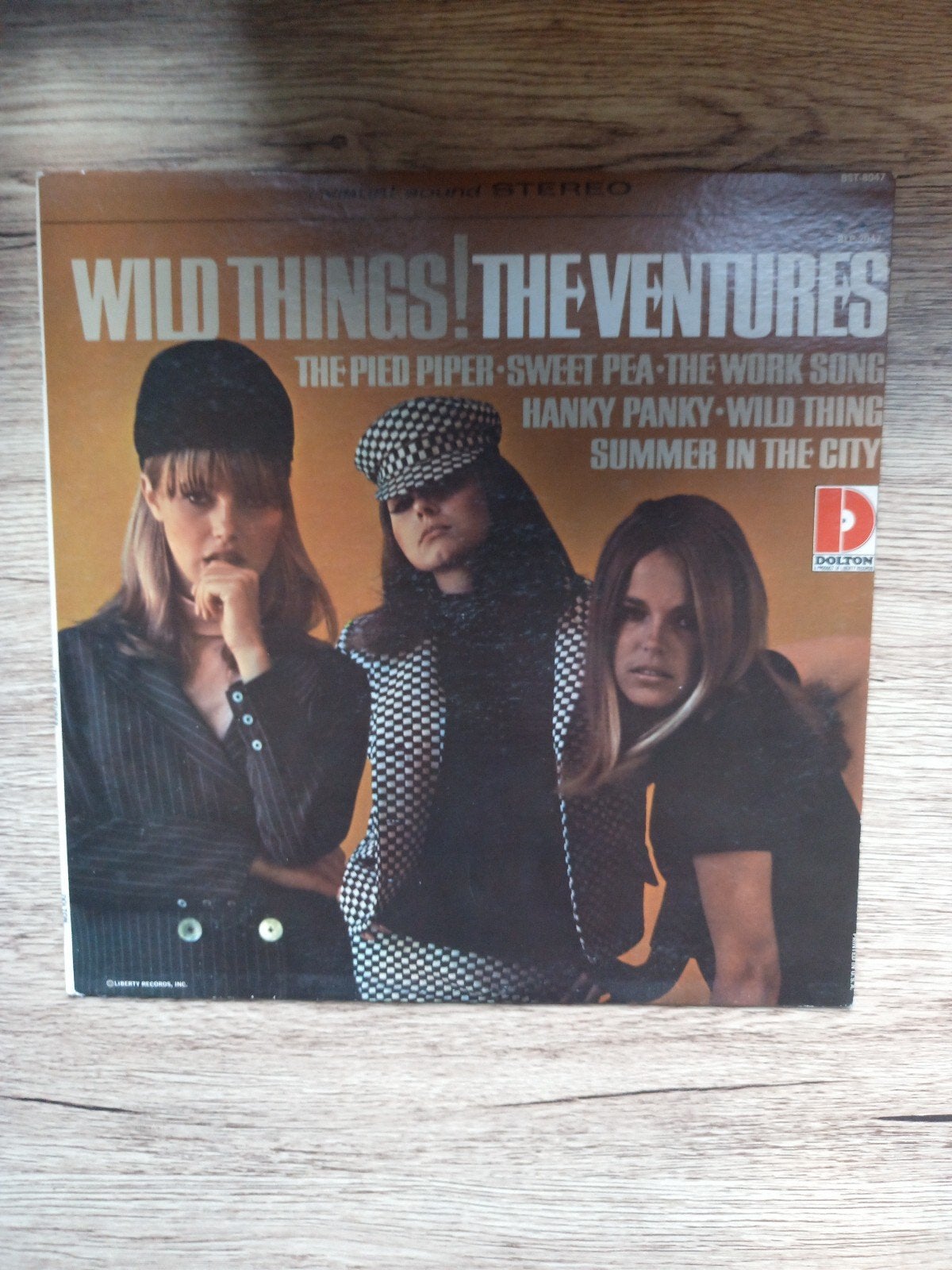The Ventures - Wild Things! LP (1966) Dolton Records, Ophalen of Verzenden, 1960 - 1969, Gebruikt, 12 inch