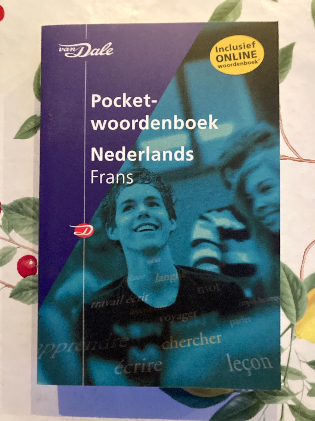 aa Van Dale Pocketwoordenboek Nederlands-Frans, Boeken, Woordenboeken, Frans, Ophalen of Verzenden, Zo goed als nieuw, Van Dale